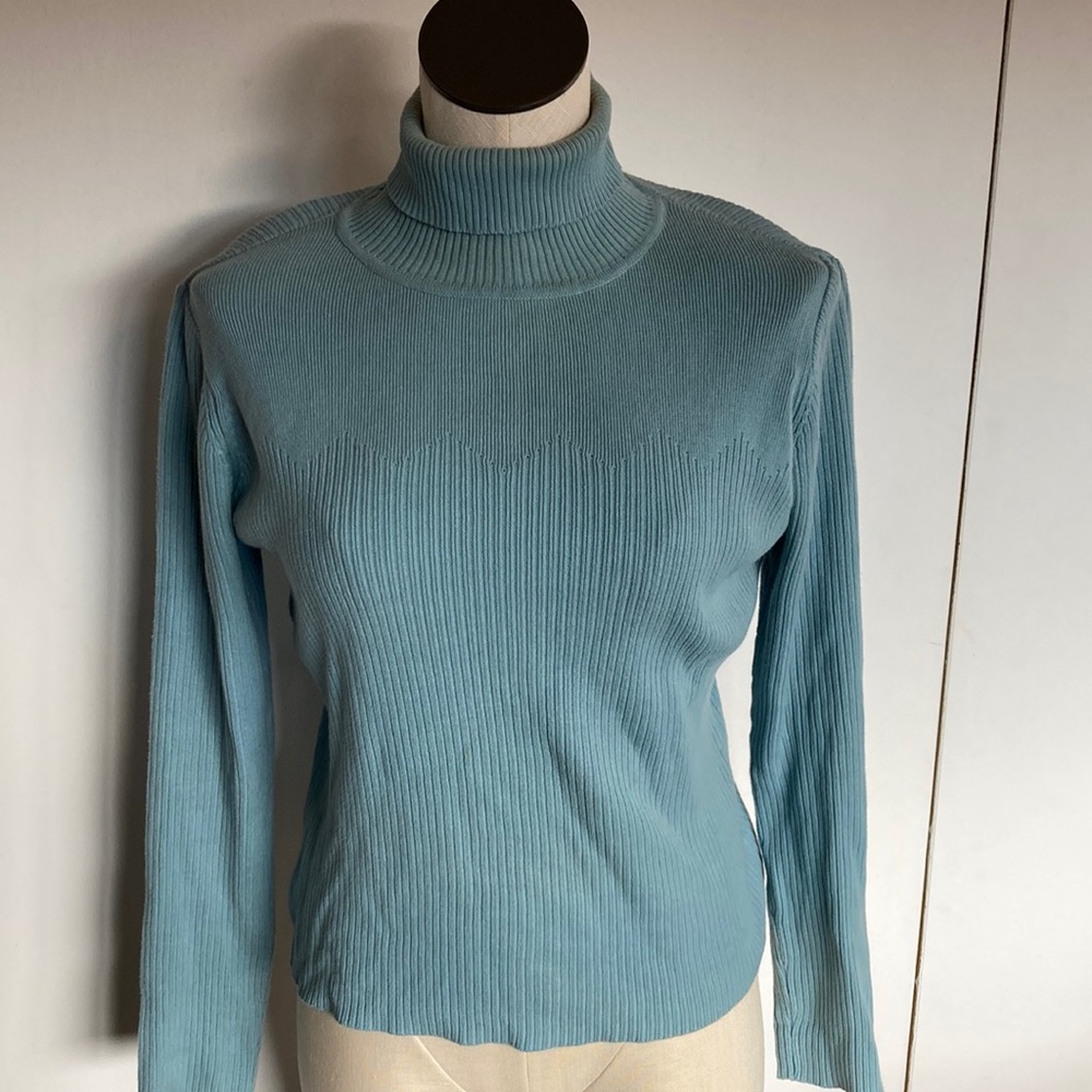 Great Northwest Petite Turtleneck